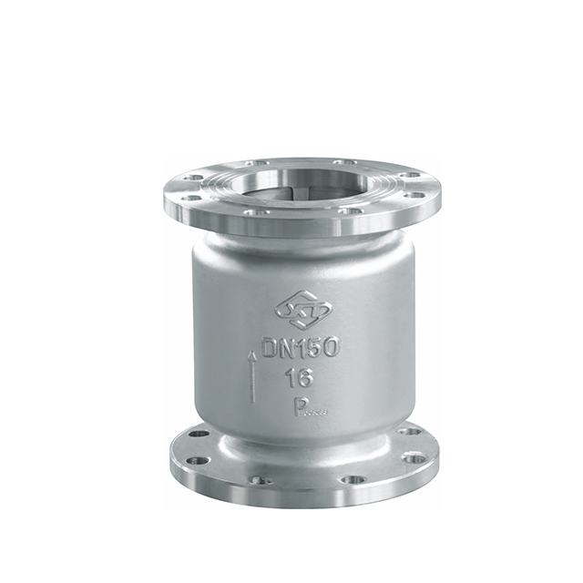 An application scenario or product detail of check lift valve - Image 15