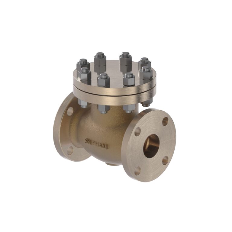 Featured image for the check lift valve guide