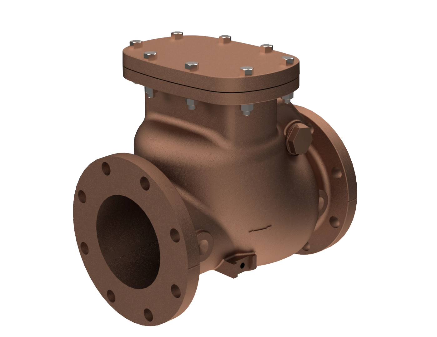 An application scenario or product detail of check swing valve - Image 9
