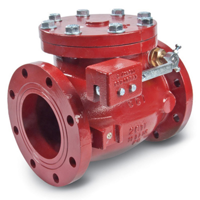 An application scenario or product detail of check swing valve - Image 12