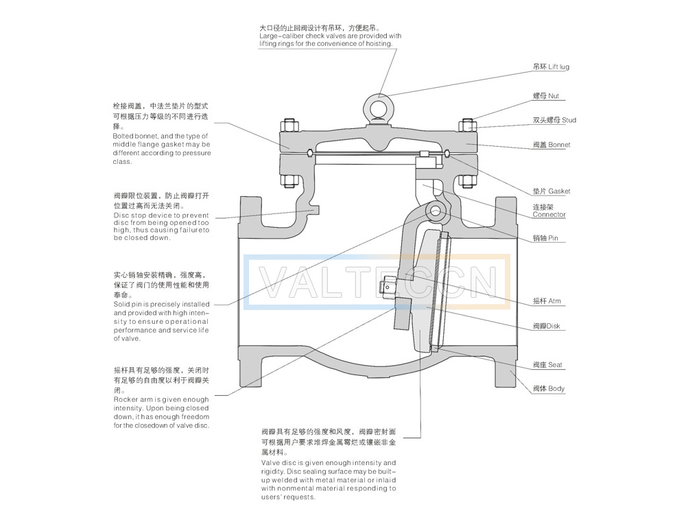 An application scenario or product detail of check swing valve - Image 13