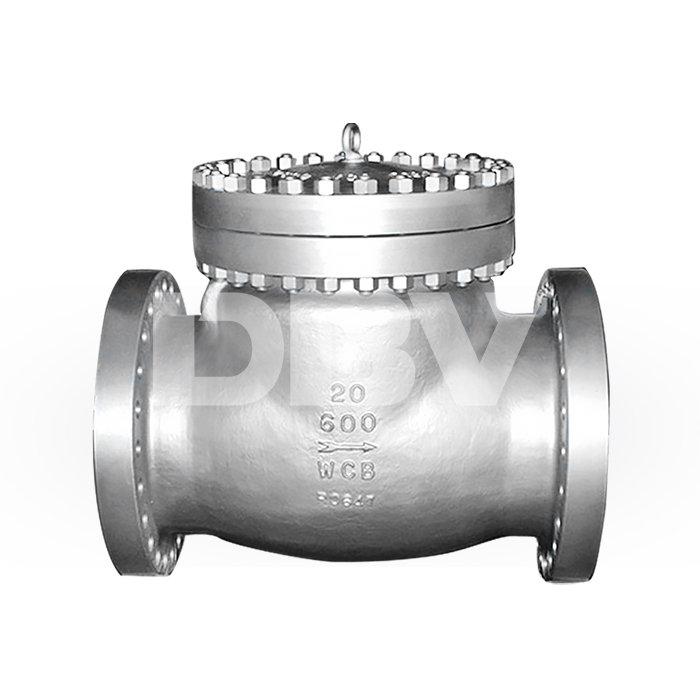 An application scenario or product detail of check swing valve - Image 18