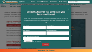 Check Valves - Spring Check Valves