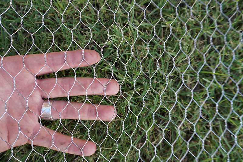 An application scenario or product detail of chicken wire types - Image 4