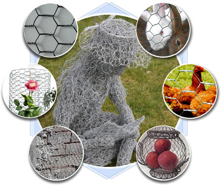 An application scenario or product detail of chicken wire types - Image 13