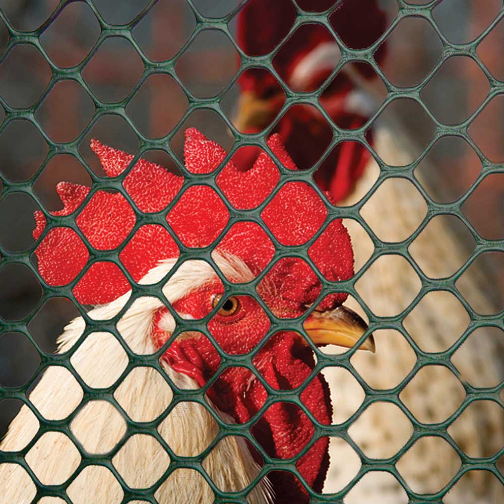 An application scenario or product detail of chicken wire types - Image 16
