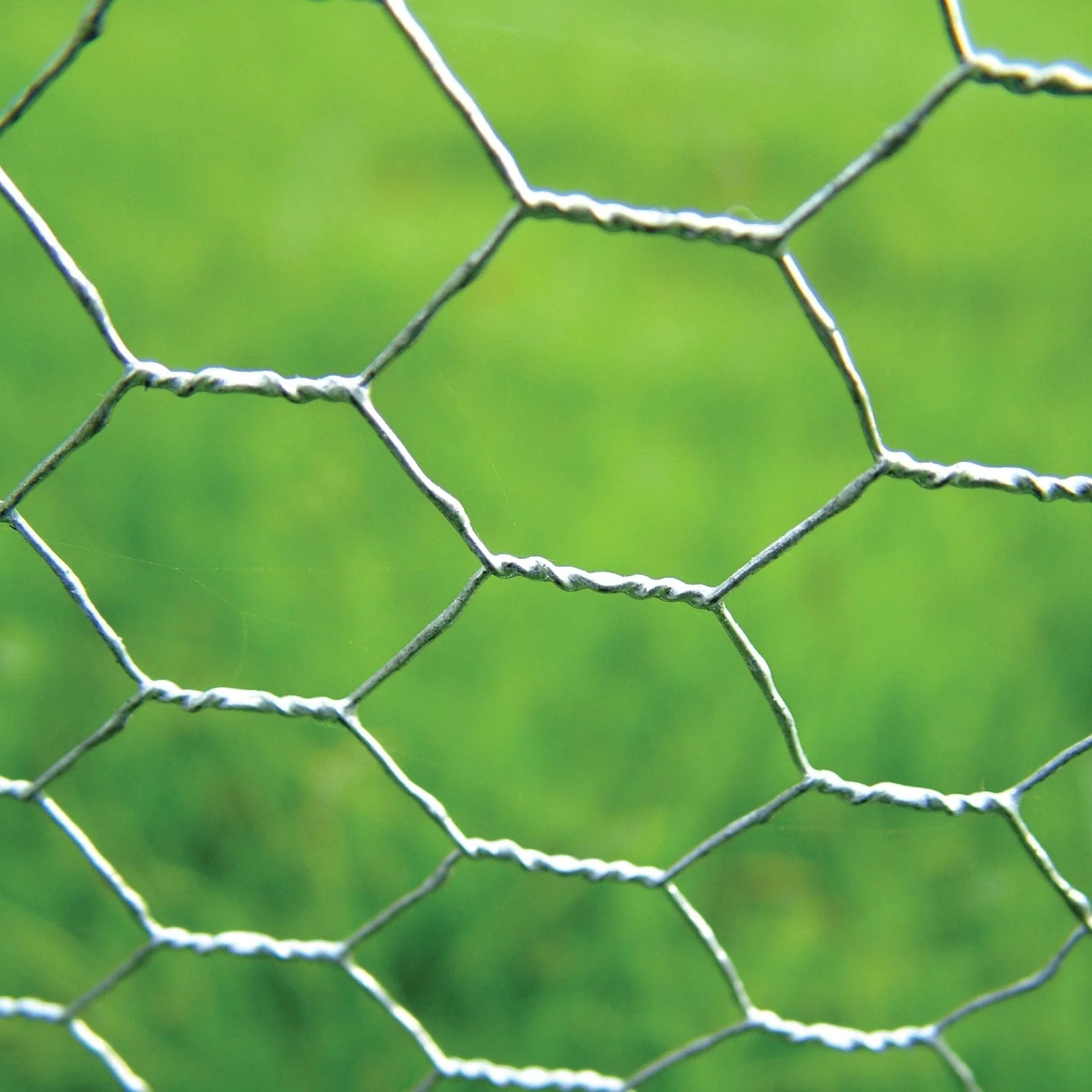 An application scenario or product detail of chicken wire types - Image 17