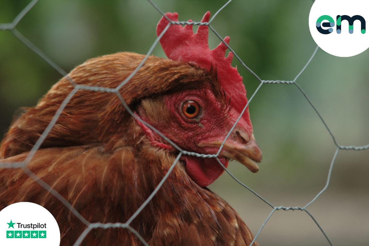 An application scenario or product detail of chicken wire types - Image 20
