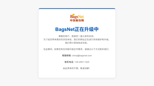 BagsNet - 系统维护升级