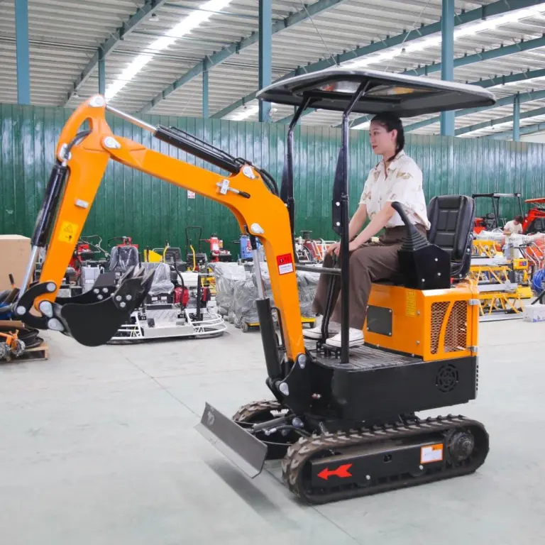 Featured image for the china mini excavator guide