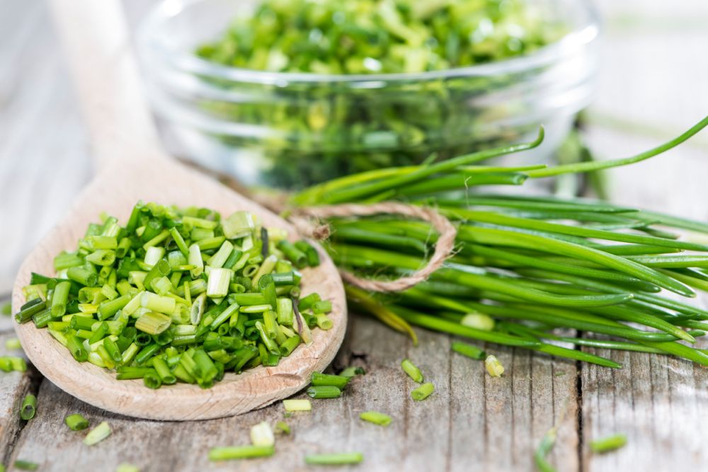 An application scenario or product detail of chives substitute - Image 7