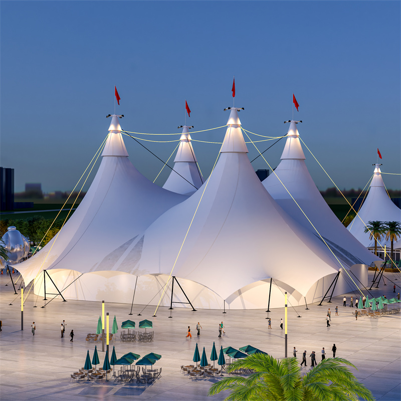 An application scenario or product detail of circus tents - Image 18