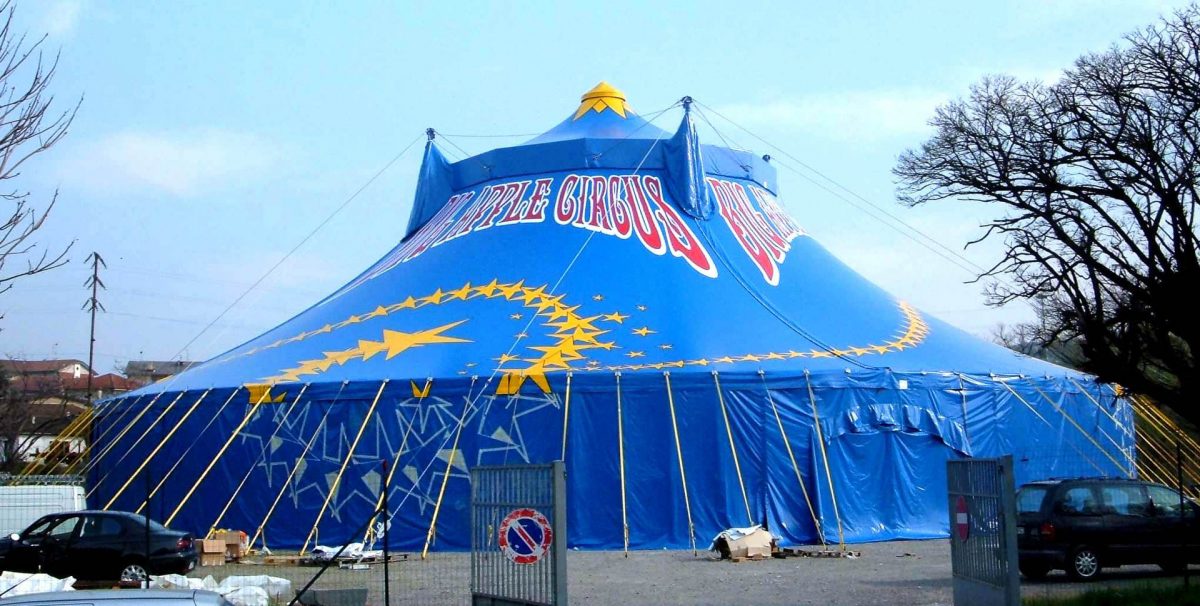 An application scenario or product detail of circus tents - Image 19