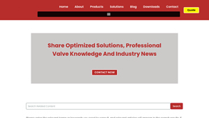 CN Control Valve - Steam Boiler Solutions