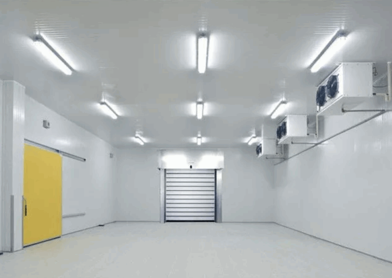 Featured image for the cold room design guide