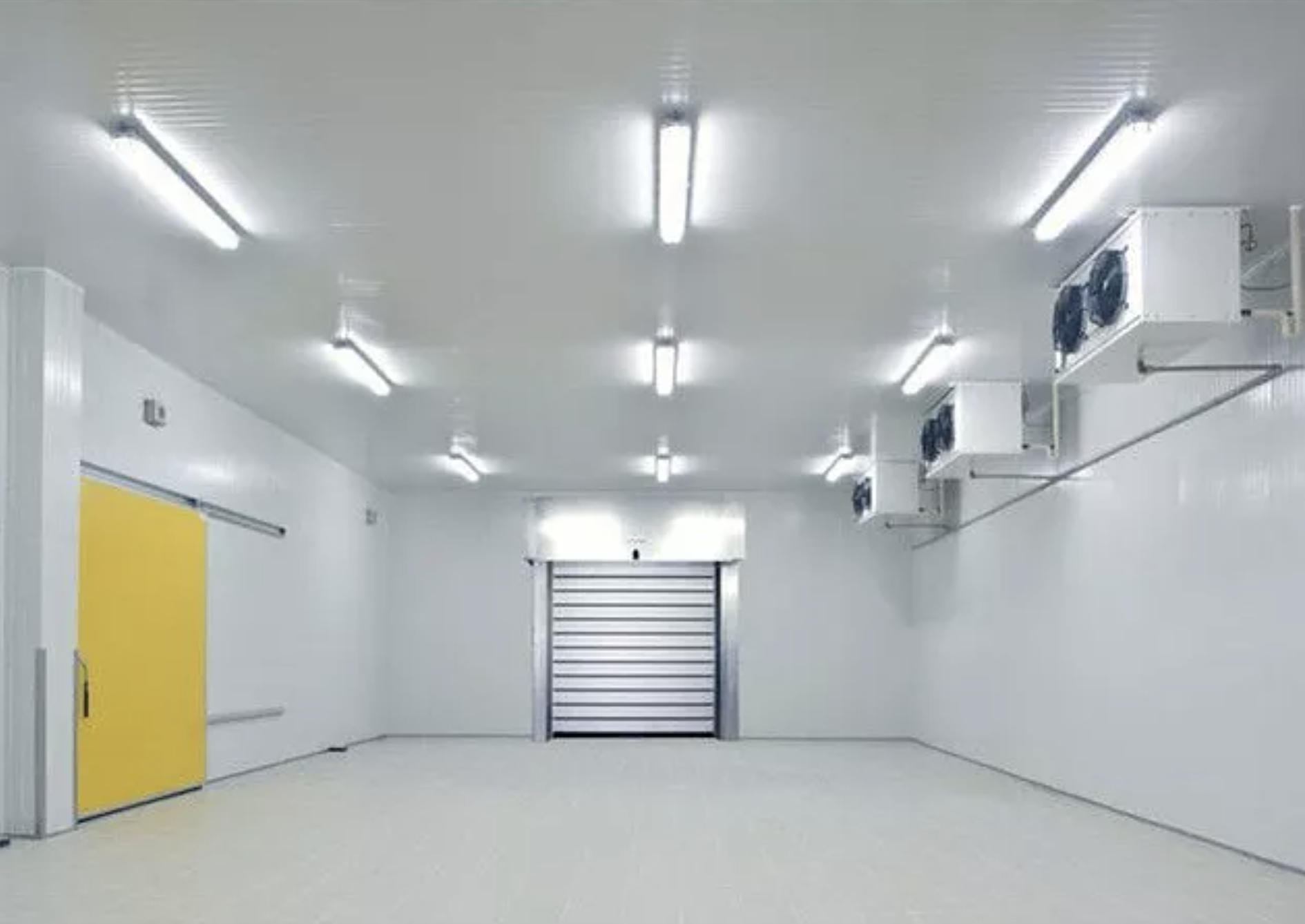 Featured image for the cold room design guide