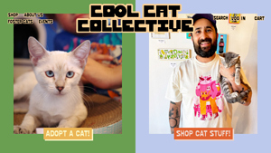 Cool Cat Collective - Plush Adventure Toys