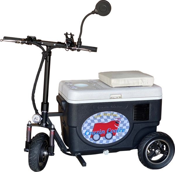 An application scenario or product detail of cooler scooter - Image 6