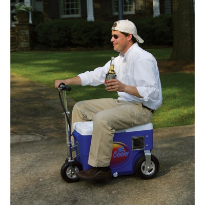 An application scenario or product detail of cooler scooter - Image 7