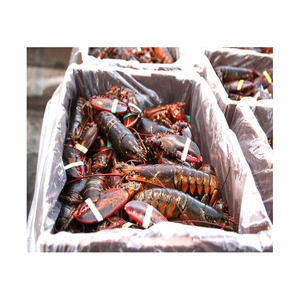 An application scenario or product detail of cost of crayfish - Image 18
