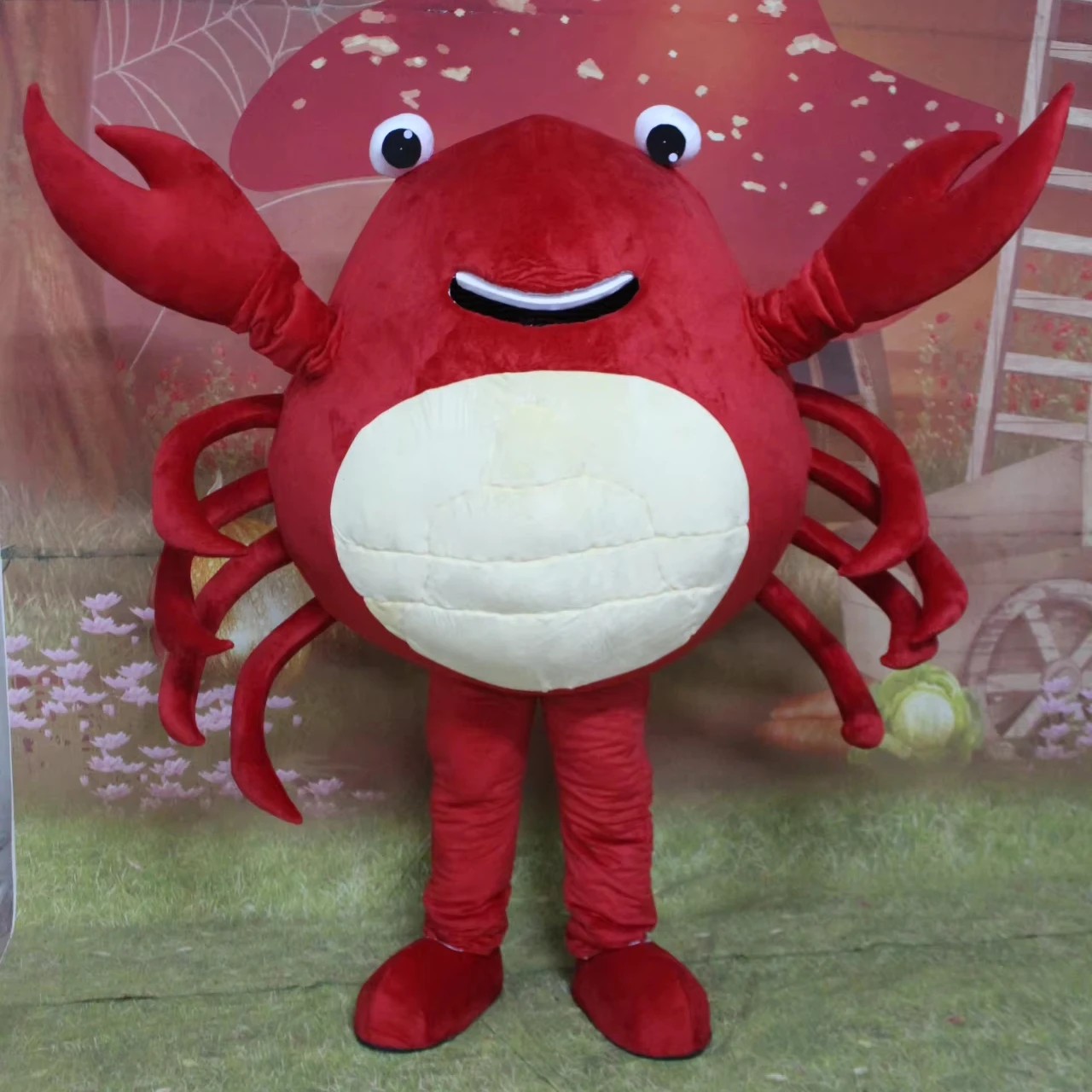 An application scenario or product detail of crab costume - Image 5