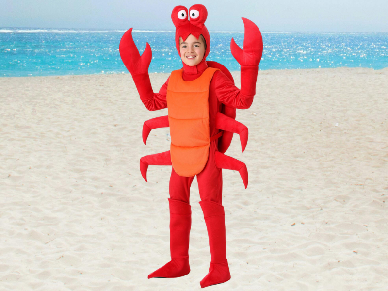 An application scenario or product detail of crab costume - Image 8