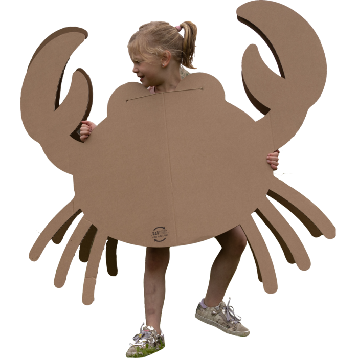 An application scenario or product detail of crab costume - Image 9