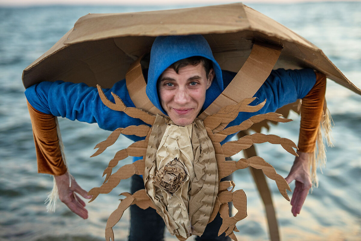 An application scenario or product detail of crab costume - Image 14