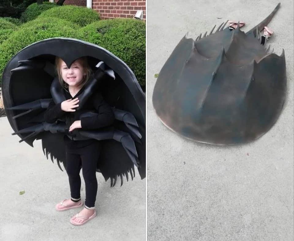 An application scenario or product detail of crab costume - Image 18