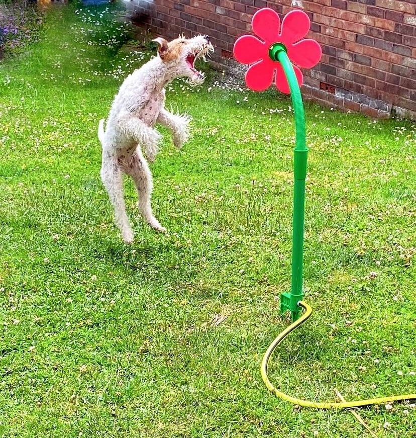 An application scenario or product detail of crazy daisy sprinkler - Image 11