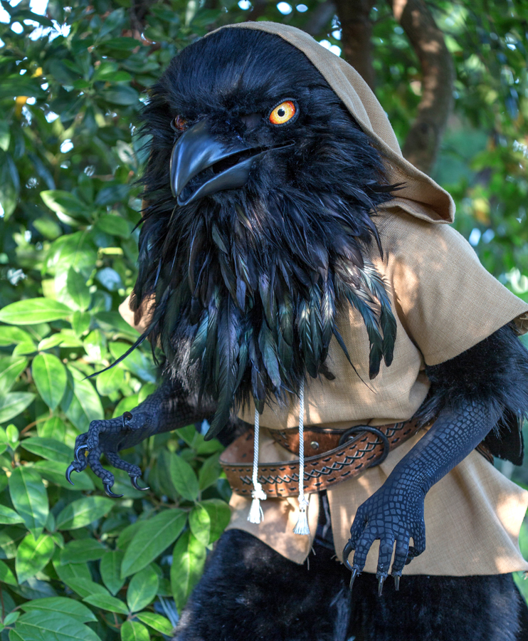 An application scenario or product detail of crow costume - Image 8