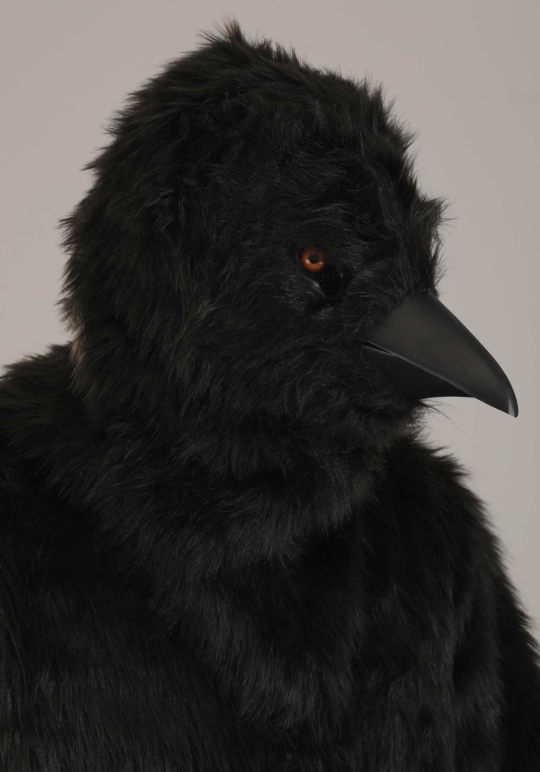 An application scenario or product detail of crow costume - Image 18