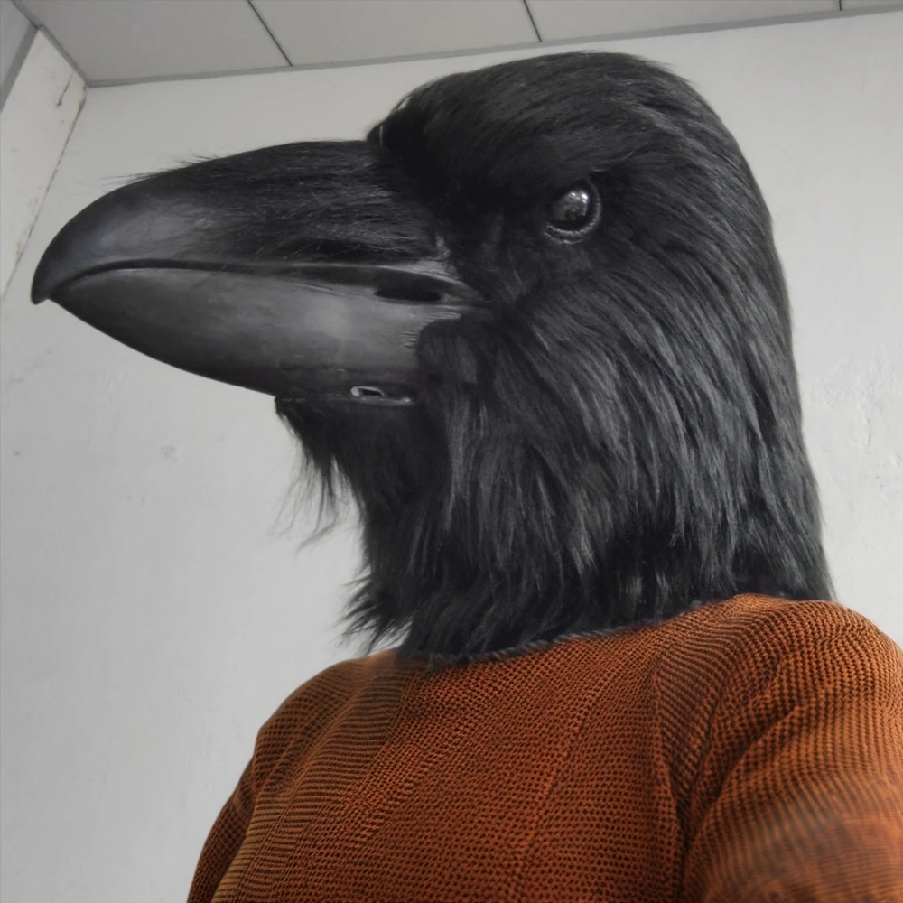 An application scenario or product detail of crow mask - Image 8