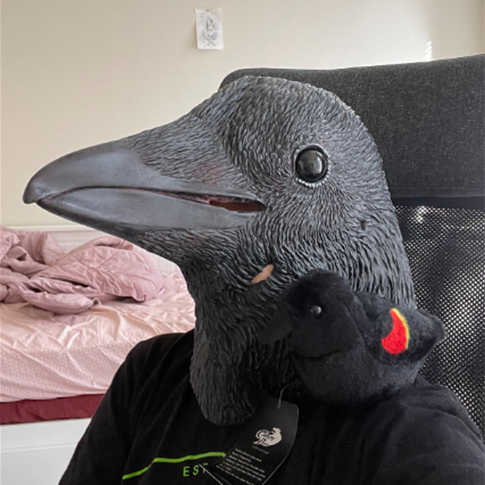 An application scenario or product detail of crow mask - Image 18