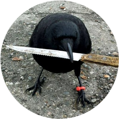 Featured image for crow with knife crypto - crow with knife Price | CAW Price Today ...