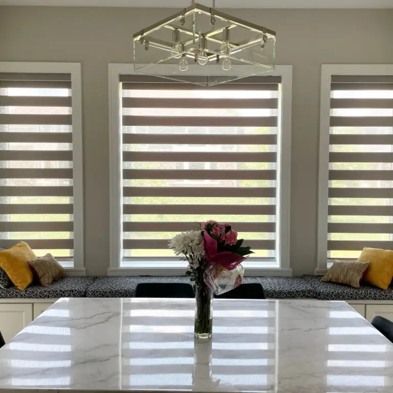 Featured image for the customized zebra blinds with motor guide