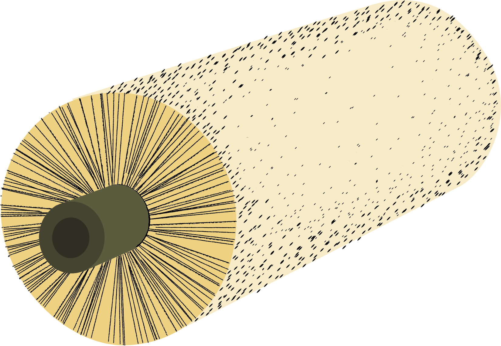 An application scenario or product detail of cylinder brush - Image 11