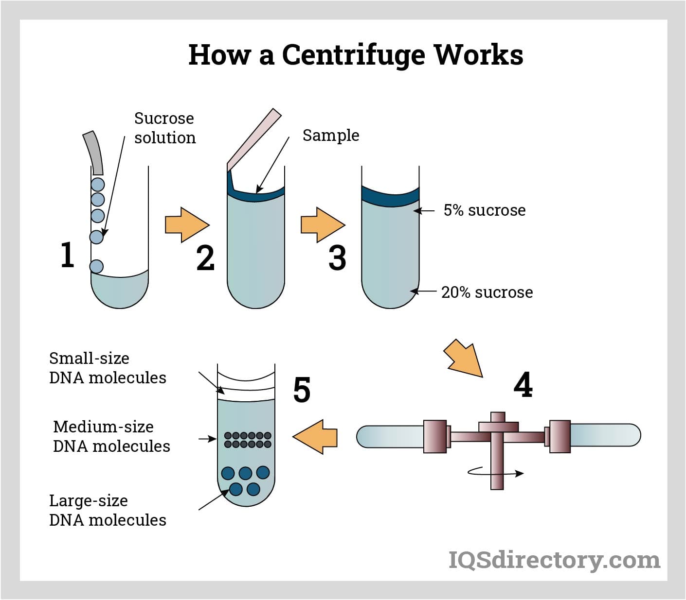 An application scenario or product detail of diagram centrifuge - Image 8