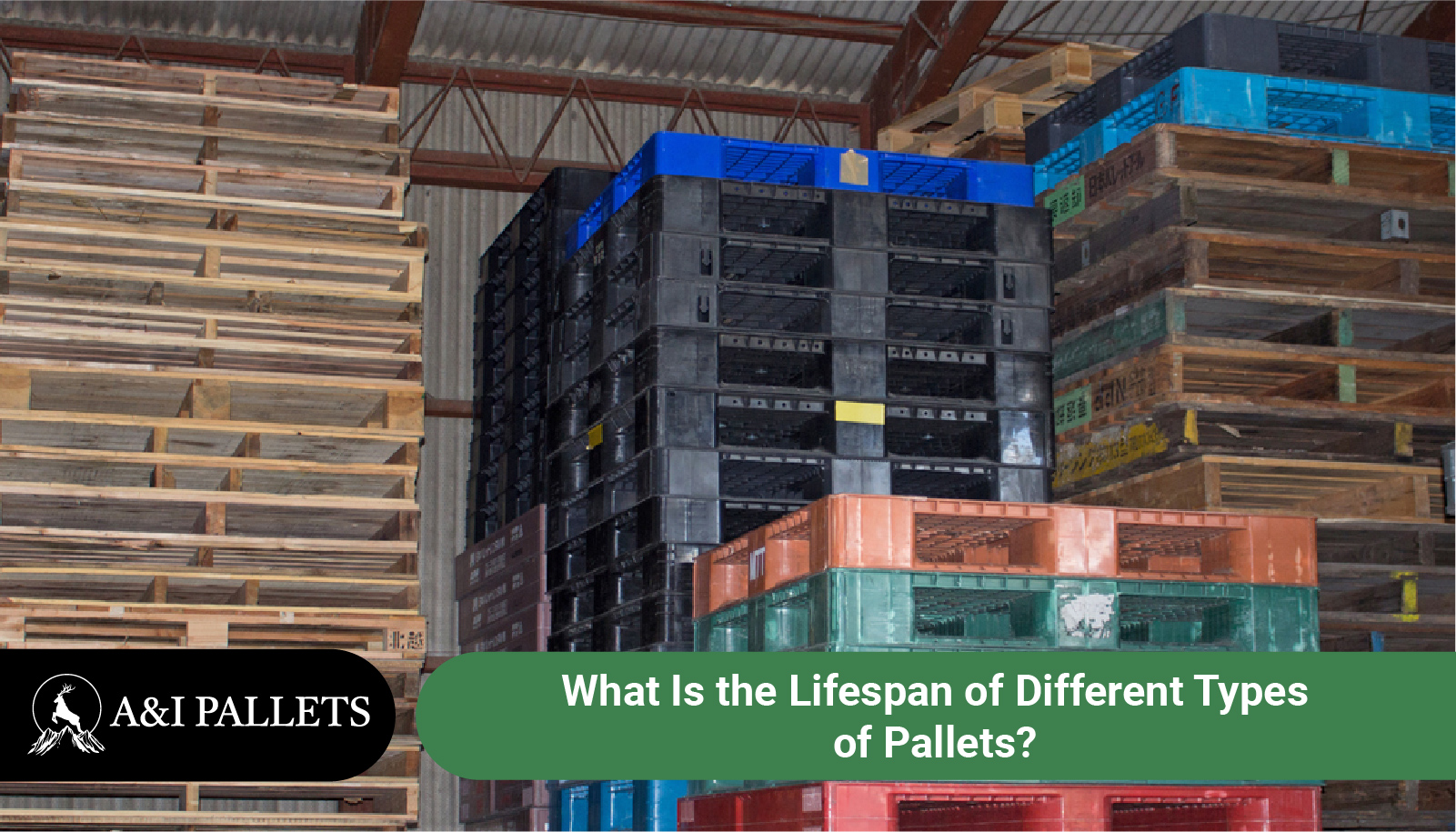An application scenario or product detail of different types of pallets - Image 23