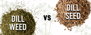 An application scenario or product detail of dill seed vs dill weed - Image 4