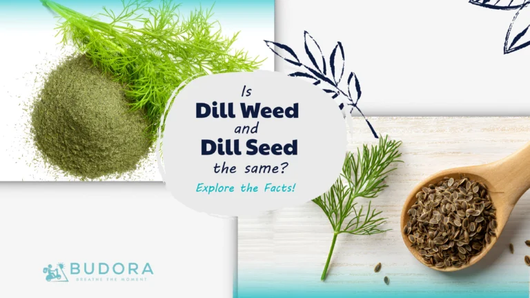 An application scenario or product detail of dill seed vs dill weed - Image 5