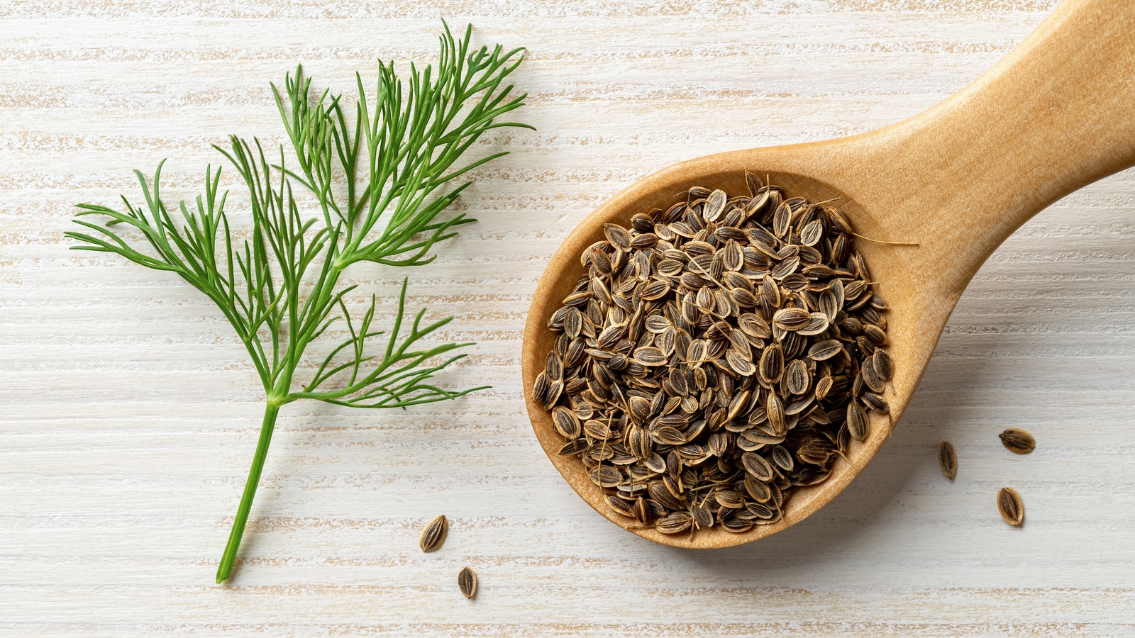 An application scenario or product detail of dill seed vs dill weed - Image 9