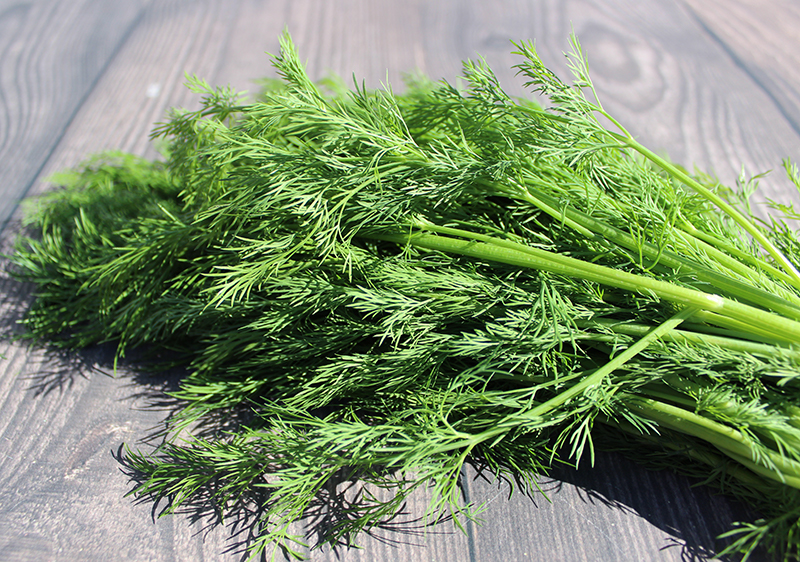 An application scenario or product detail of dill seed vs dill weed - Image 13