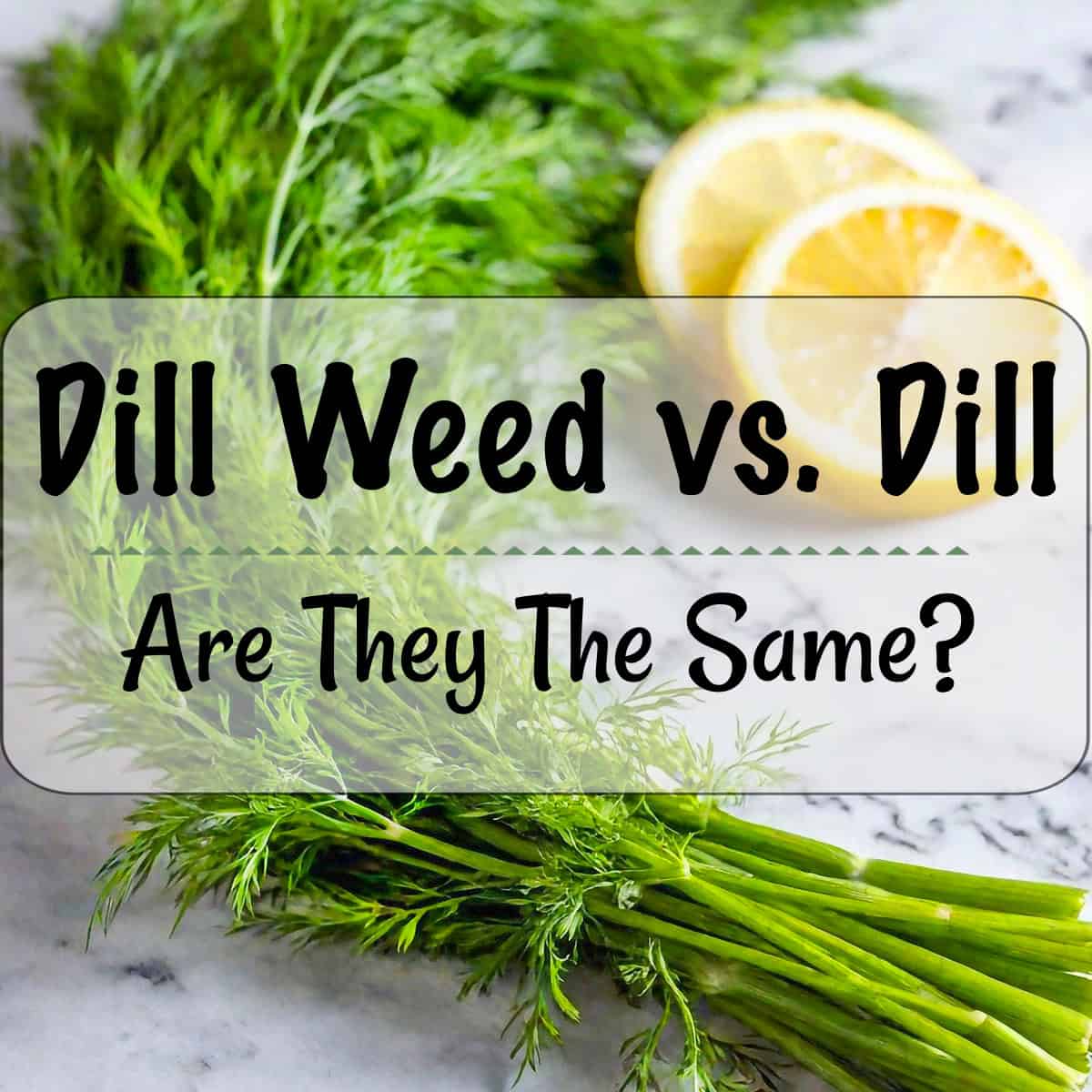 An application scenario or product detail of dill seed vs dill weed - Image 15