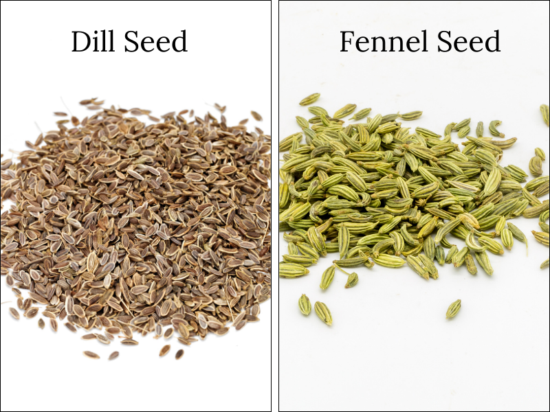 An application scenario or product detail of dill seed vs dill weed - Image 17