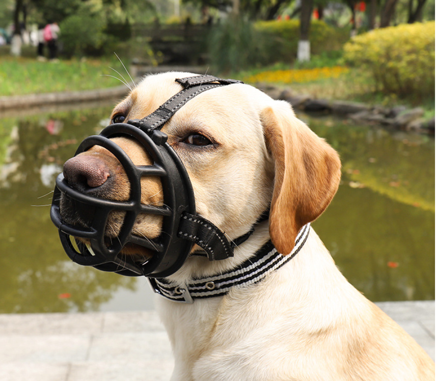 An application scenario or product detail of dog mouth guard - Image 1