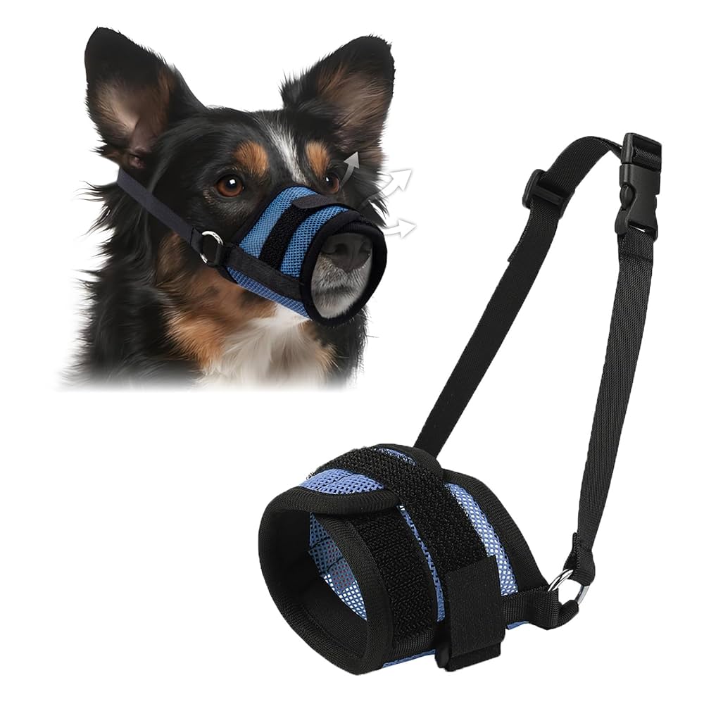 An application scenario or product detail of dog mouth guard - Image 2