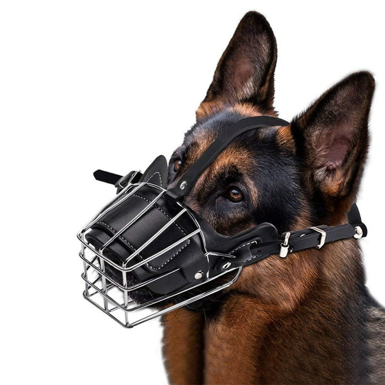 An application scenario or product detail of dog mouth guard - Image 7
