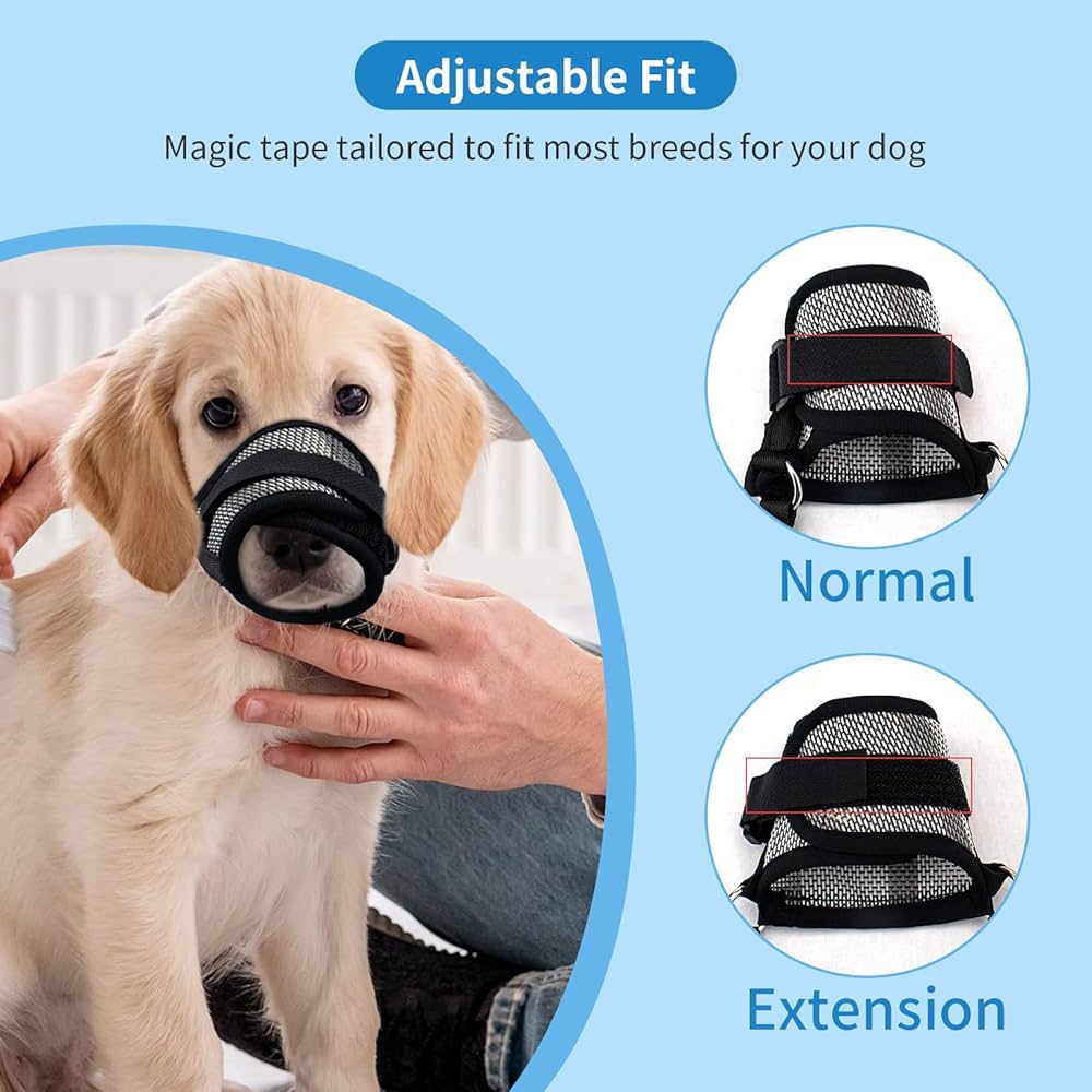 An application scenario or product detail of dog mouth guard - Image 8