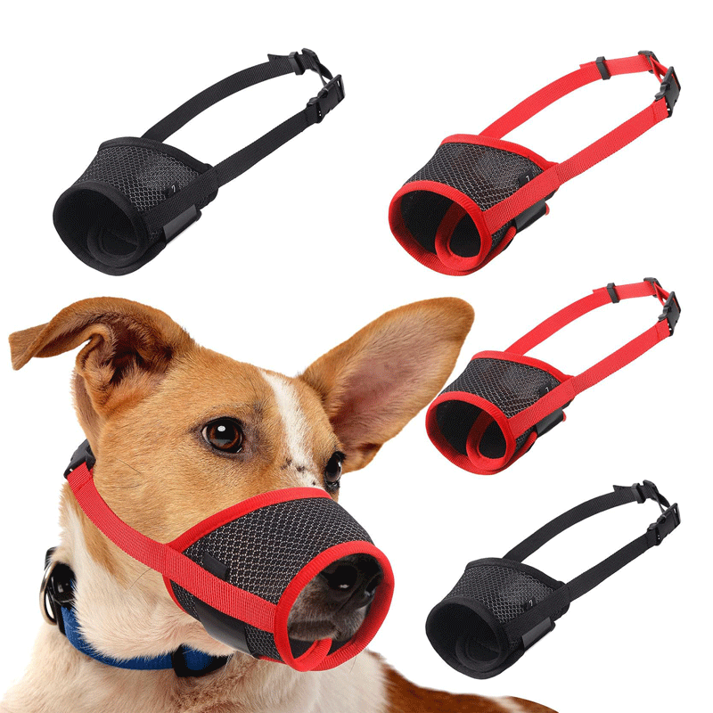 An application scenario or product detail of dog mouth guard - Image 9